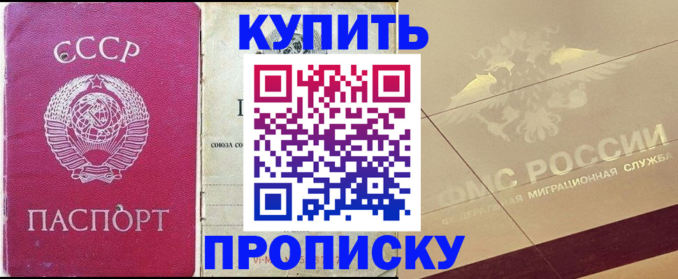 прописка для школы в Мытищах